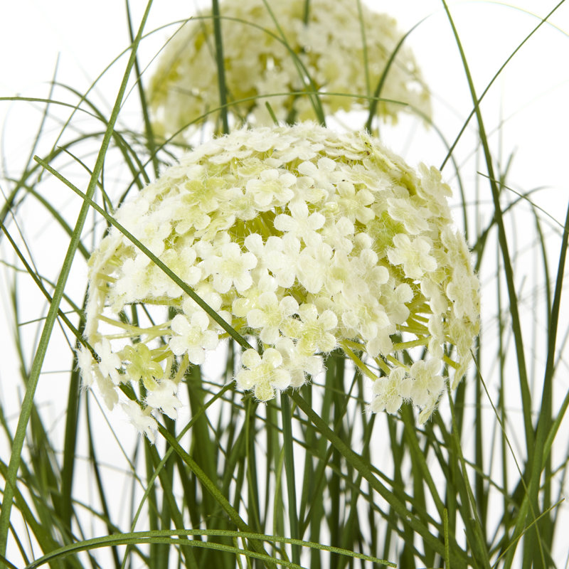 Andaiye 120cm Plant in Pot