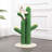 Elyzabel Scratching Post