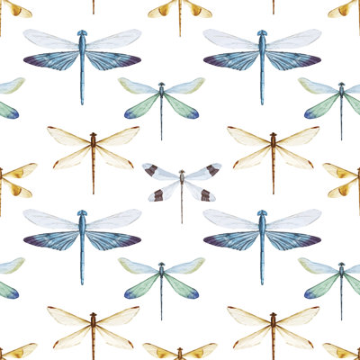 "Adanna Dragonflies" sur toile par Zenina, impression