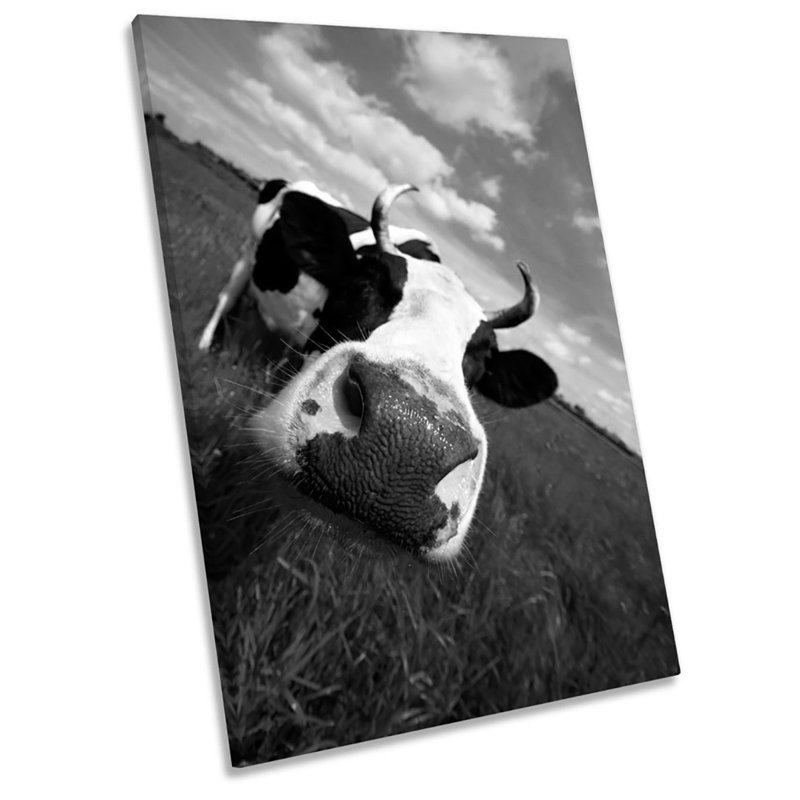 Funky Cow Face B&W - Wrapped Canvas Print, 61cm H x 40.6cm W
