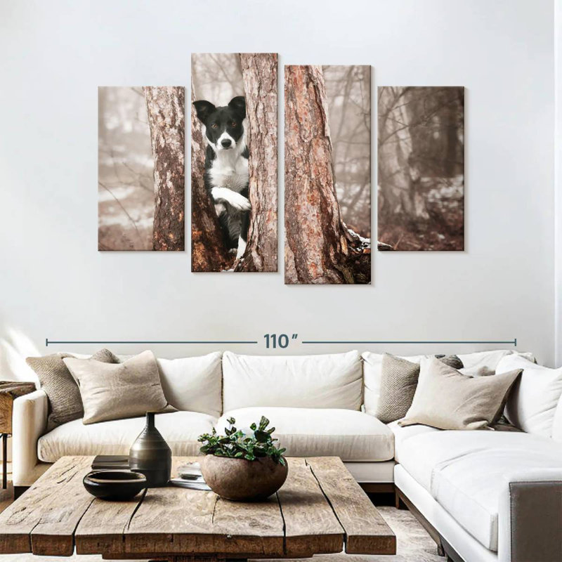 Brampt Playful Border Collie, 54" H x 84" W