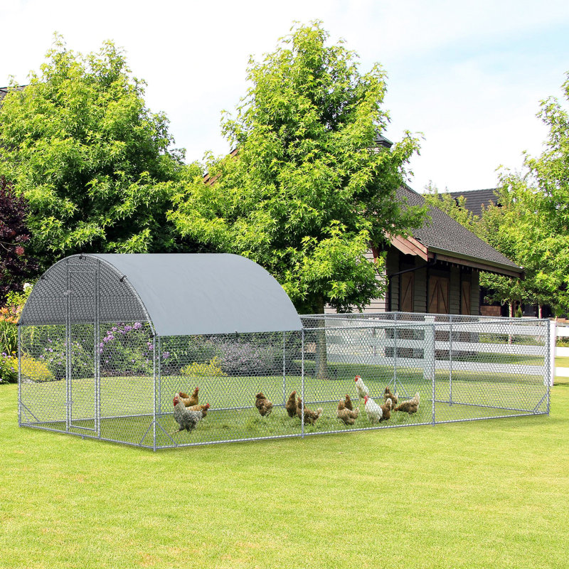 Poulailler en métal, aquatique et pour 15 à 18 poulets, lapins, canards, point d'entrée sécuritaire, toit ombragé, plan d'installation sans abri