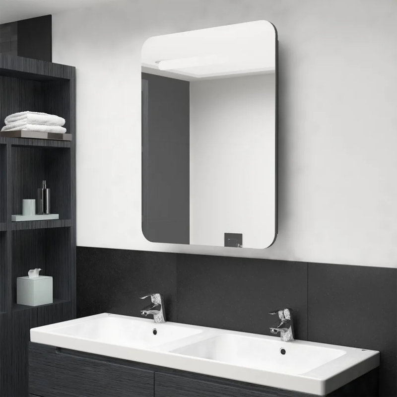 Lirah 600mm W 800mm H Surface Frameless Medicine Cabinet Mirror 2 Fixed,  Grey 