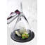 Fromage Platter