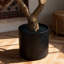 Faux Asotin with Realistic Branches,Leaves & Fruits, Artificial Asotins for Home Decor-1374190443