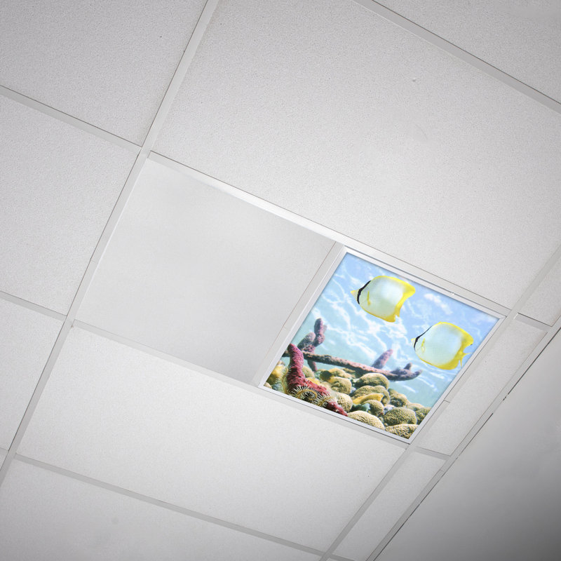 Ocean Square Fixture Component Ceiling Light