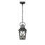 Luminaire suspendu d'extérieur 2 lumières