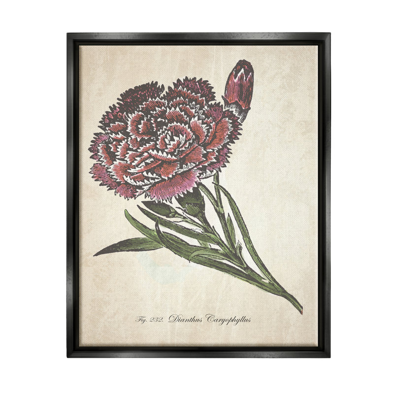 «Botanical Carnation Flower», art mural rouge sur toile par The Evening, H 21 po x l 17 po x P 1,7 po