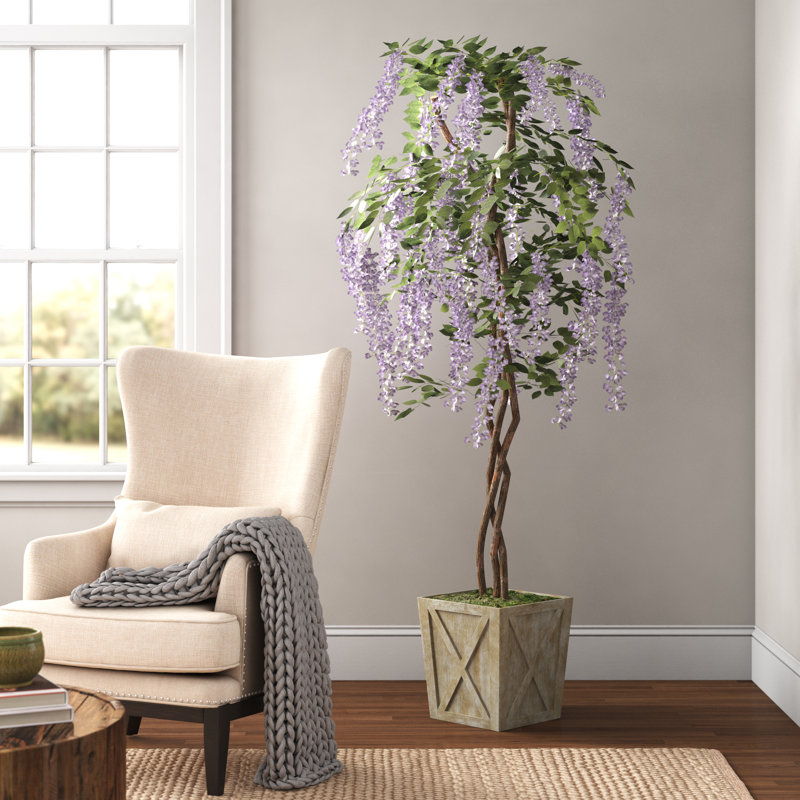 Plante de fleurs dans un pot