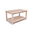 Janda Frame Coffee Table with Storage-2137633767