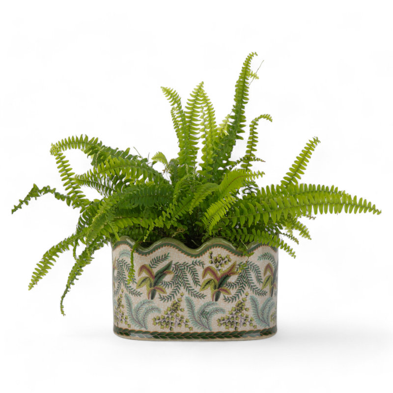Fern Handmade Ceramic Planter