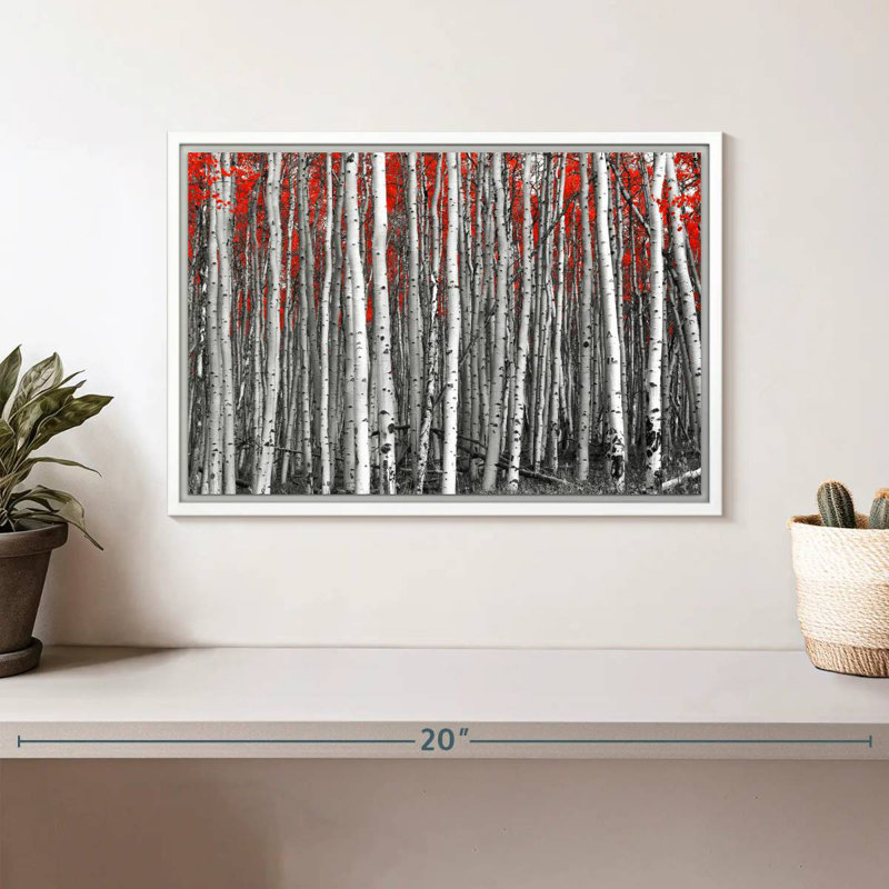 Forêt de bouleaux rouges, Cadre flottant blanc, 13 po x 9 po
