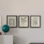 Antique Black and White Botanical VII - Ensemble de 3 reproductions d'art sur toile-282180060-282180056