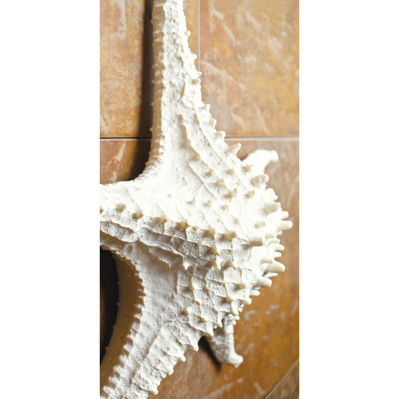 Décoration Nunn, H 14 po x l 14 po x P 6 po