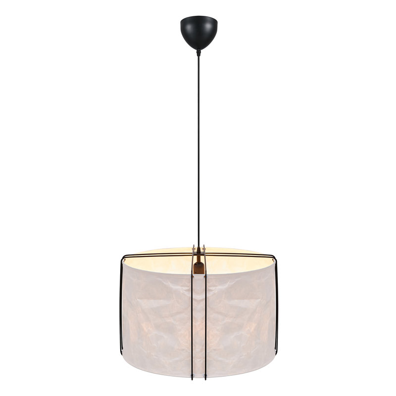 1 - Light Novelty Pendant