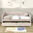 Torkelson Twin Size Velvet Upholstered Daybed with Two Drawers and Slats-14610153