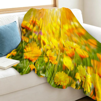 Jeté en molleton transparent ultra doux, imprimé flou simple