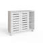 15 Pair Shoe Storage Cabinet-773711186
