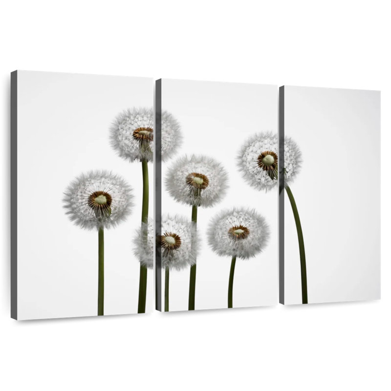Harnek Five Dandelion Stalks, 24" H x 38" W