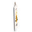 Wall Decor-1463066698