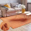 Paradise Solid Colour Wool Hand Woven Area Rug-1752647365