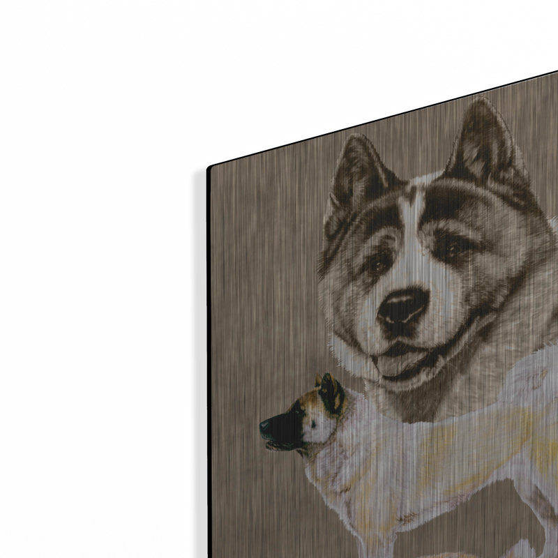 "Akita" par Barbara Keith, H 16 po x l 12 po