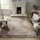 Evgenii Power Loom Gray/Brown Rug
