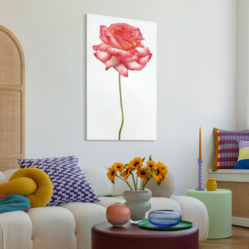 « rose sur blanc », impression sur verre Rose