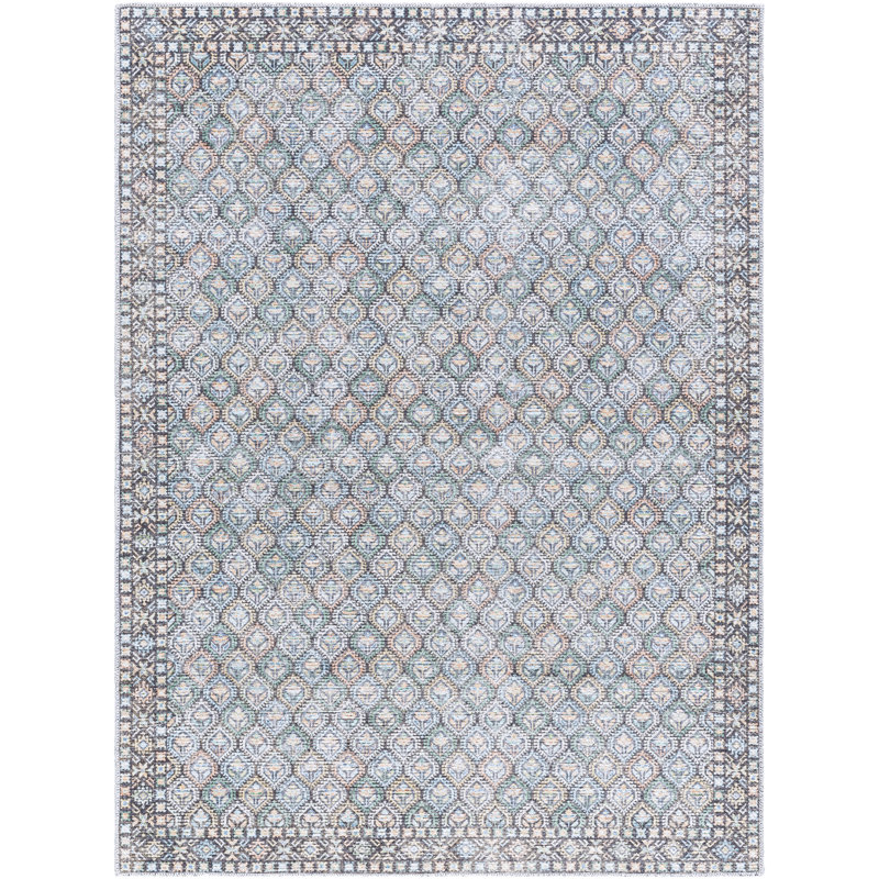 Alcaide Washable Oriental Indoor Rug, Rectangle 6'7" x 9'