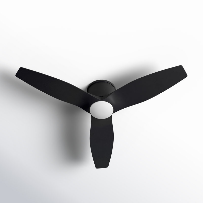 Ventilateur de plafond avec lumières DEL Aisling, Nuit noire, Nuit noire, 52"
