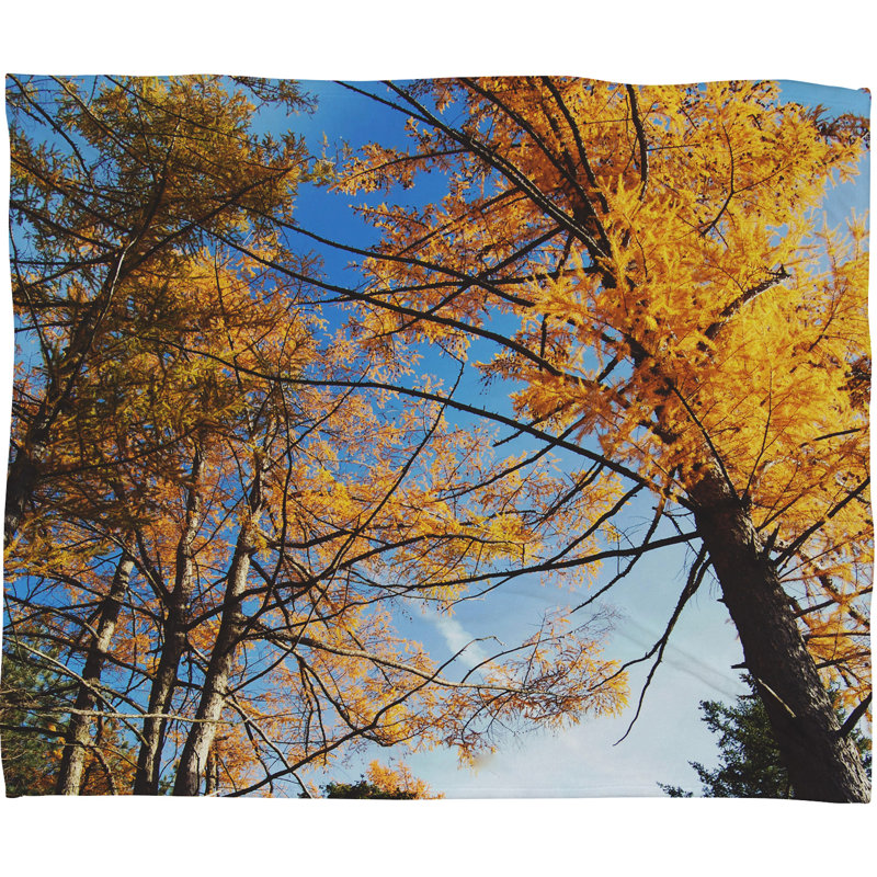 Jeté en ciel d’automne