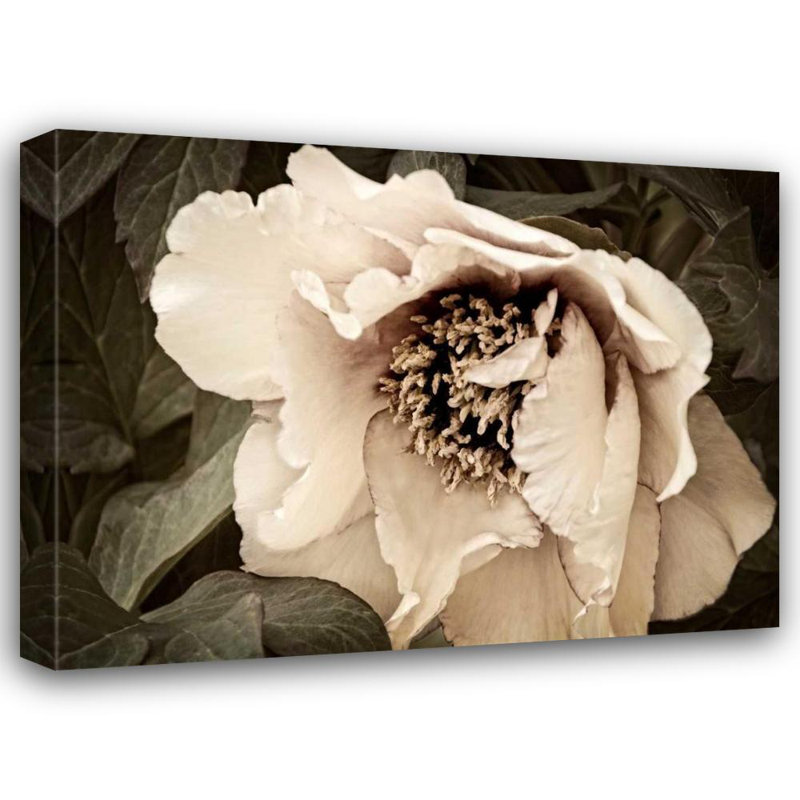 «Red Barrel Studio® Perry, Rachel», reproduction d'art sur toile tendue: Golden Era Peony III, H 28 po x l 36 po