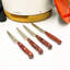 BergHOFF International Pakka Stainless Steel Steak Knives, Set of 4
