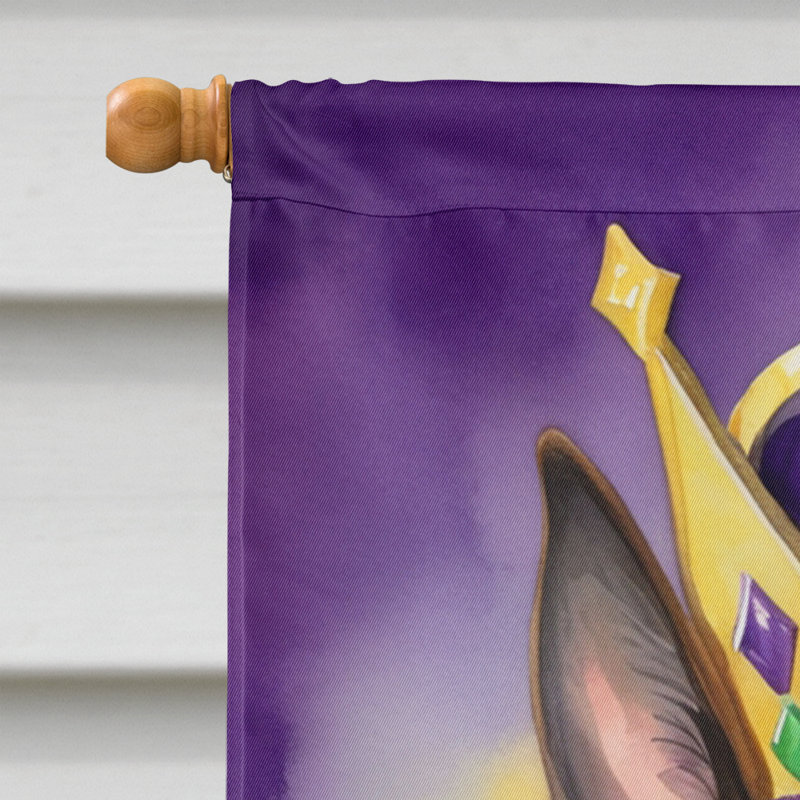 Double Sided 28'' H x 40'' W Polyester Mardi Gras House Flag
