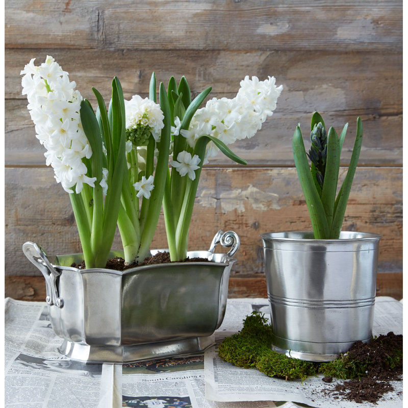 Vaso Silver 5.1" Metal Table Vase