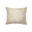 Stardust Lumbar Pillow Cover & Insert-45921315-68356939