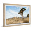 « the tree of life »-cadre photo, impression sur papier-1418444989