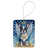Boston terrier 6958