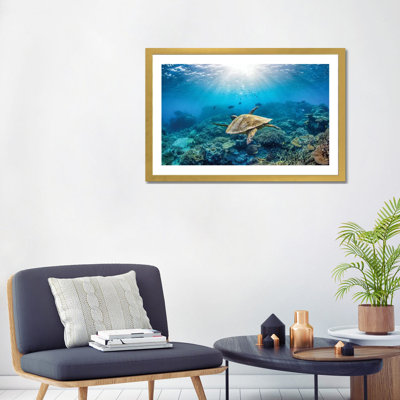 Reef Glider par Jordan Robins - reproduction d'art