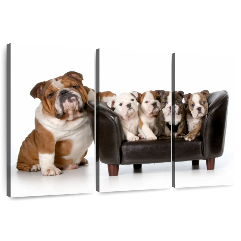 Brampt English Bulldogs, 48" H x 74" W