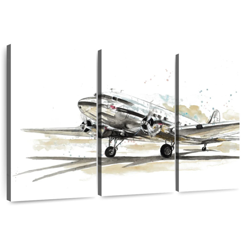 Mehar DC3 Airplane, 36" H x 57" W