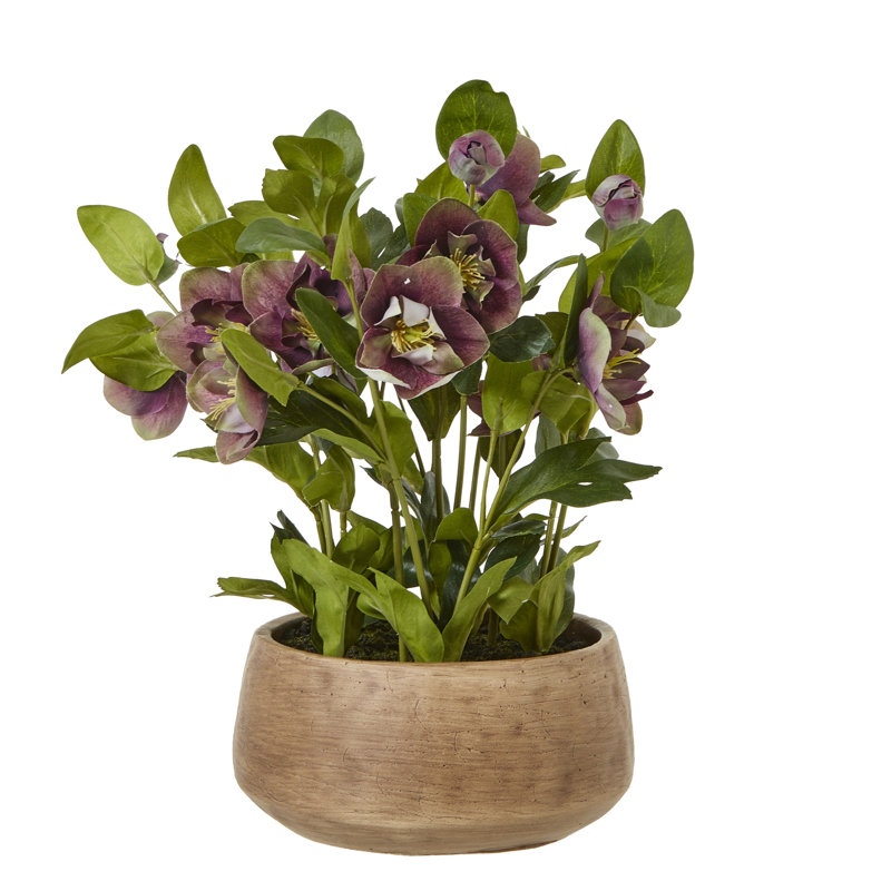 41cm Faux Plant in Pot, Brown, Purple