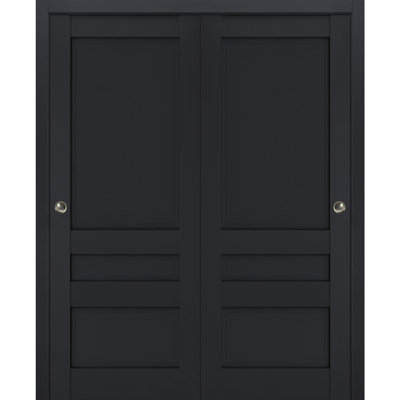 Veregio Paneled Wood Sliding Closet Doors
