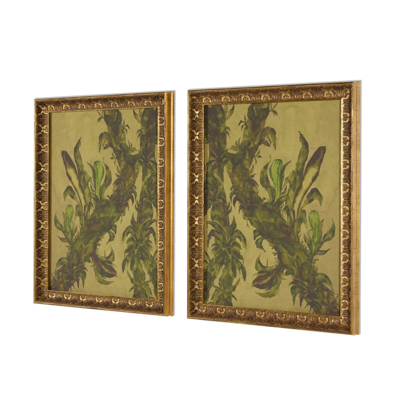Epiphytes Diptych Set by Molly Franken, 18.25" H x 28.5" W x 2" D