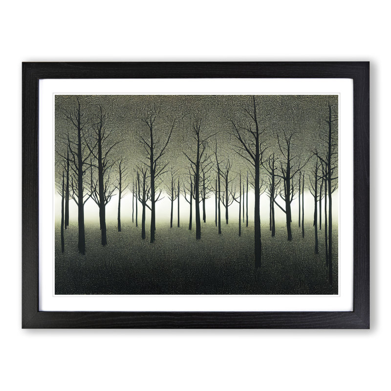 Illuminating Forest - Single Picture Frame Print, Black, 46cm H x 64cm W x 2cm D