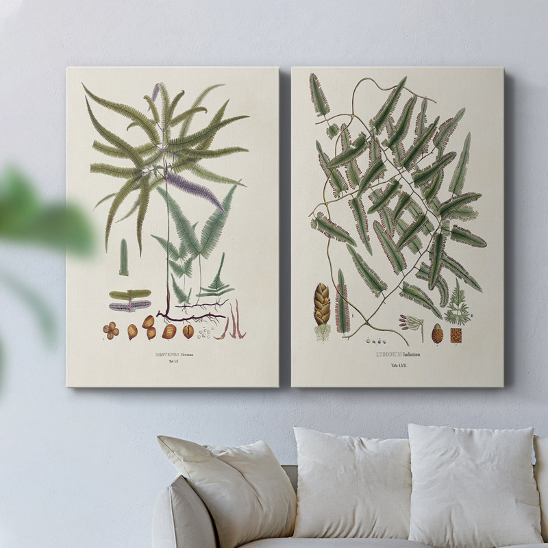 Botanical Society Ferns VIII - Toile tendue avec châssis de qualité supérieure - Prêt à être accroché, H 18 po x l 24 po