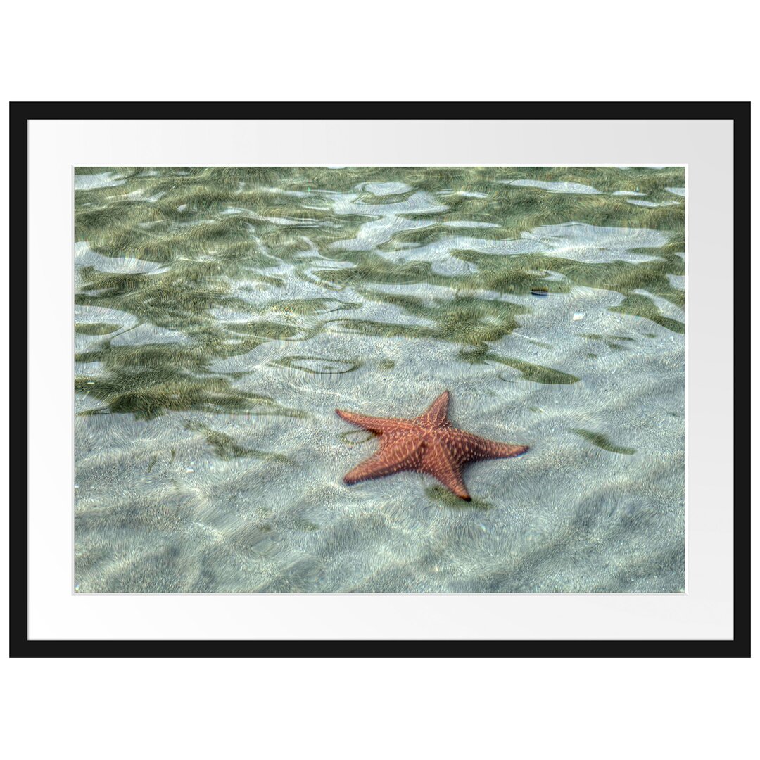 Gerahmtes Poster Seestern im klaren Wasser