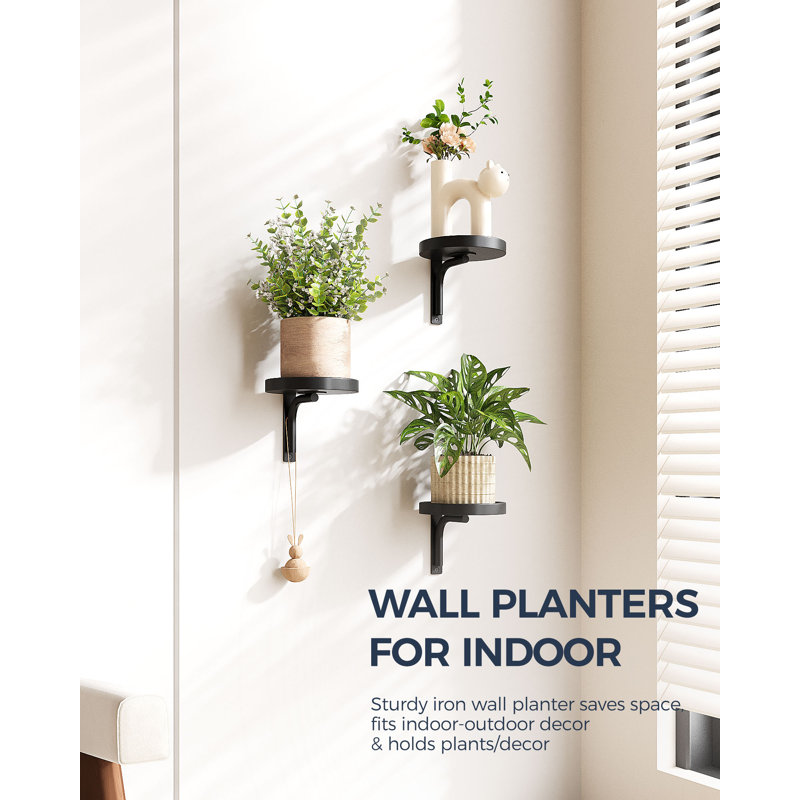 3 Pcs Black Wall Hanging Plant Holders, Wall Mounted Planters & Window Plant Shelves for Indoor Plant Decor