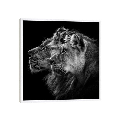 Lion And Lioness Portrait by Laurent Lothare Dambreville - Print on Canvas