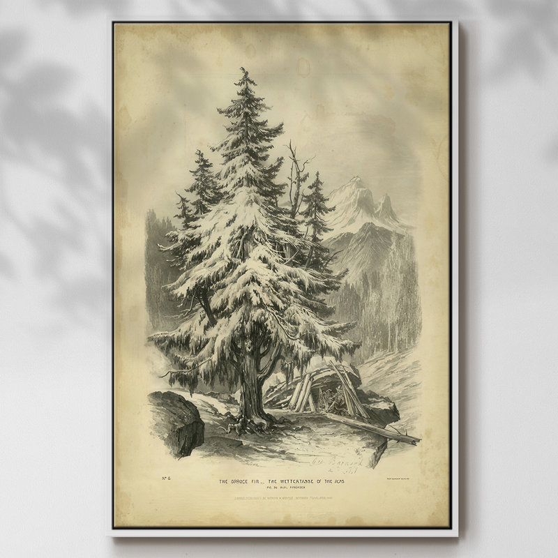 The Spruce, reproduction d'art sur toile, H 25 po x l 17 po x P 1,5 po, Cadre flottant blanc
